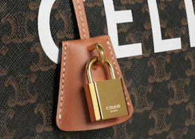 Lookbook Celine 大型Triomphe棕色印花Voyage包包