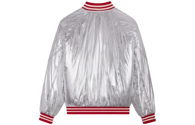 Lookbook CELINE SS23 Jaket Lengan Panjang Perak dengan Trim Berjalur. 2W559819L-36AG