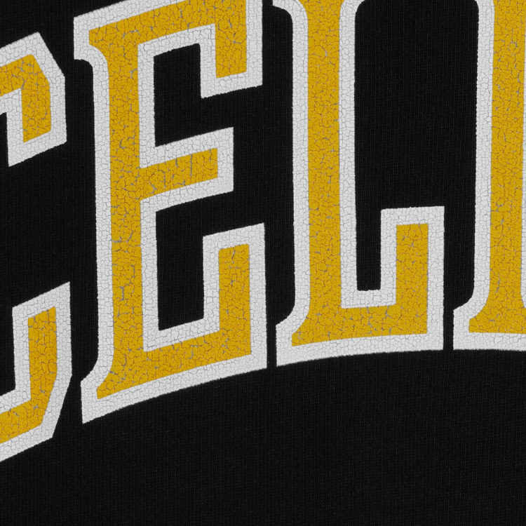 CELINE SS24 Letter Print Loose Hoodie Black  Sweatshirt. 2Y75F670Q-38JE 圖 5