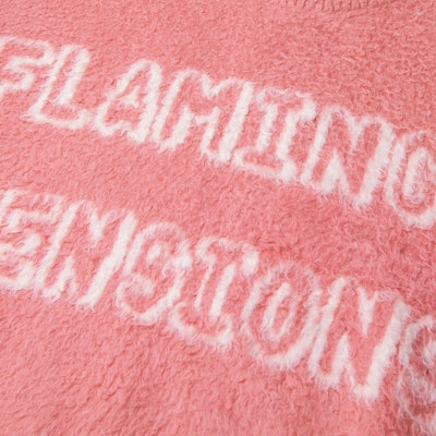 CELINE x Scott Reeder SS22 粉色提花字母套頭毛衣 2A23W526Q-24BP Sizing CELINE x Scott Reeder SS22 粉色提花字母套頭毛衣 2A23W526Q-24BP