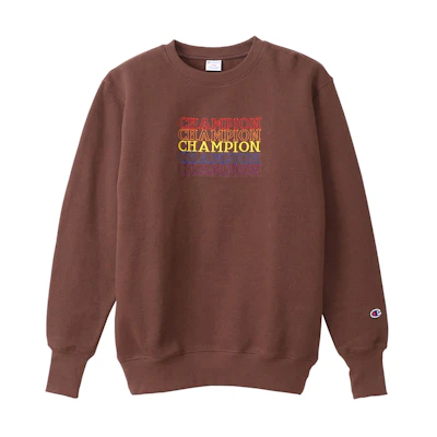 Champion Fleece Hoodie Japan Edition Brown C3-S019-M731