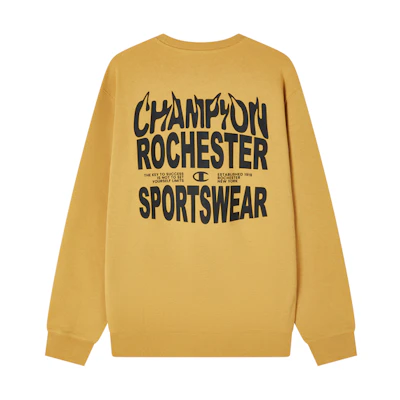 Champion FW23 Logo Back Rochester Series Colorblock Print Pullover Unisex Sweatshirt EM-YSW31