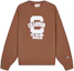 Buy Champion Premium Fleece Letter Print Unisex Crewneck Sweatshirt - European Fit EM-YSW21