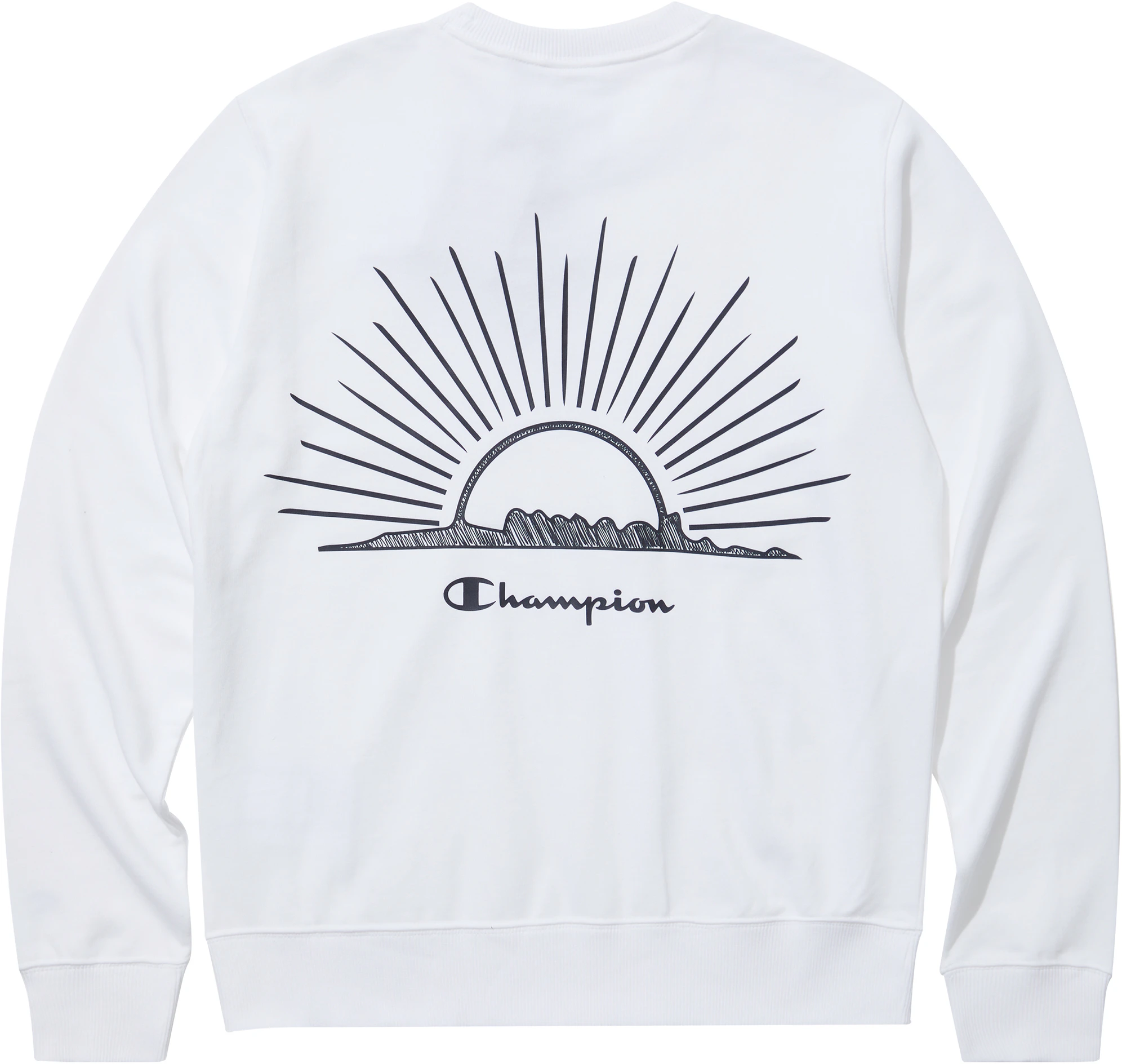 champion-rochester-embroidered-script-logo-back-print-pullover-sweatshirt-unisex-ew-tsw-16
