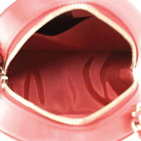 Lookbook Chanel Clutch Clásico con Cadena Caviar Acolchado Dorado Rojo