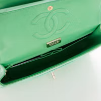 Lookbook Chanel Clásico Doble Solapa Mediano Verde Claro