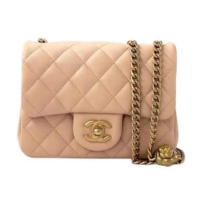 Chanel Flap Bag with Camellia Chain 17cm Beige (AS4040-B10716-NN269)