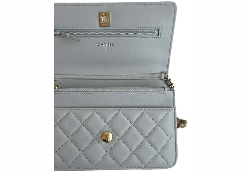 Lookbook Chanel Pearl Crush Correa Ajustable WOC Gris Claro (AP1450)