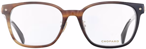 Lookbook CHOPARD Gentle Rectangular Horn Optical Glasses - Elegant & Durable Frame VCHL40JOGR4