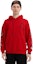 Shop Sudadera Roja con Gráfico Chrome Hearts para Hombre 1383-100000106XMBFH-RED