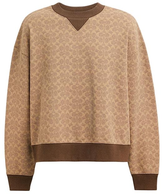 coach-brown-colorblock-logo-print-crewneck-sweatshirt-cp-977-ryu