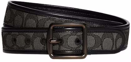 COACH Leather Belt with Elegant Buckle – 3.8cm Width ca236_d0q COACH Leather Belt with Elegant Buckle – 3.8cm Width ca236_d0q