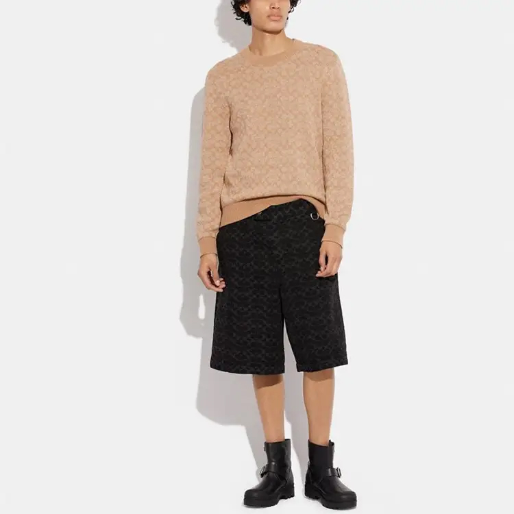 Lookbook COACH 徽標羅紋圓領毛衣 米色 CA308