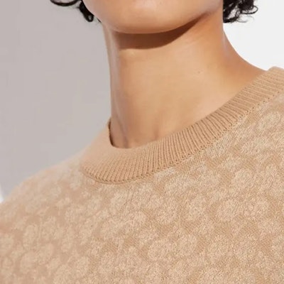 COACH 徽標羅紋圓領毛衣 米色 CA308 Purchase COACH 徽標羅紋圓領毛衣 米色 CA308