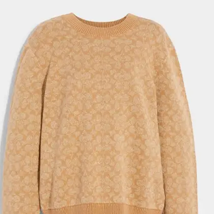 Sizing COACH 徽標羅紋圓領毛衣 米色 CA308
