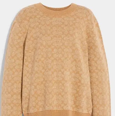 COACH 徽標羅紋圓領毛衣 米色 CA308 Sizing COACH 徽標羅紋圓領毛衣 米色 CA308