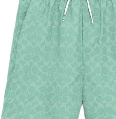 蔻驰 SS24 标志印花束绳直筒沙滩短裤 绿色. CO834-VSW Details for 蔻驰 SS24 标志印花束绳直筒沙滩短裤 绿色. CO834-VSW