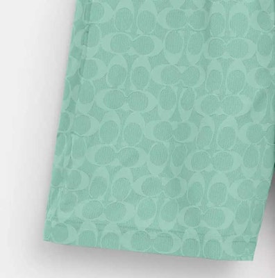 蔻驰 SS24 标志印花束绳直筒沙滩短裤 绿色. CO834-VSW Sizing 蔻驰 SS24 标志印花束绳直筒沙滩短裤 绿色. CO834-VSW