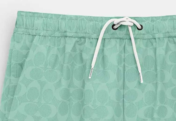 蔻驰 SS24 标志印花束绳直筒沙滩短裤 绿色. CO834-VSW Cheap 蔻驰 SS24 标志印花束绳直筒沙滩短裤 绿色. CO834-VSW