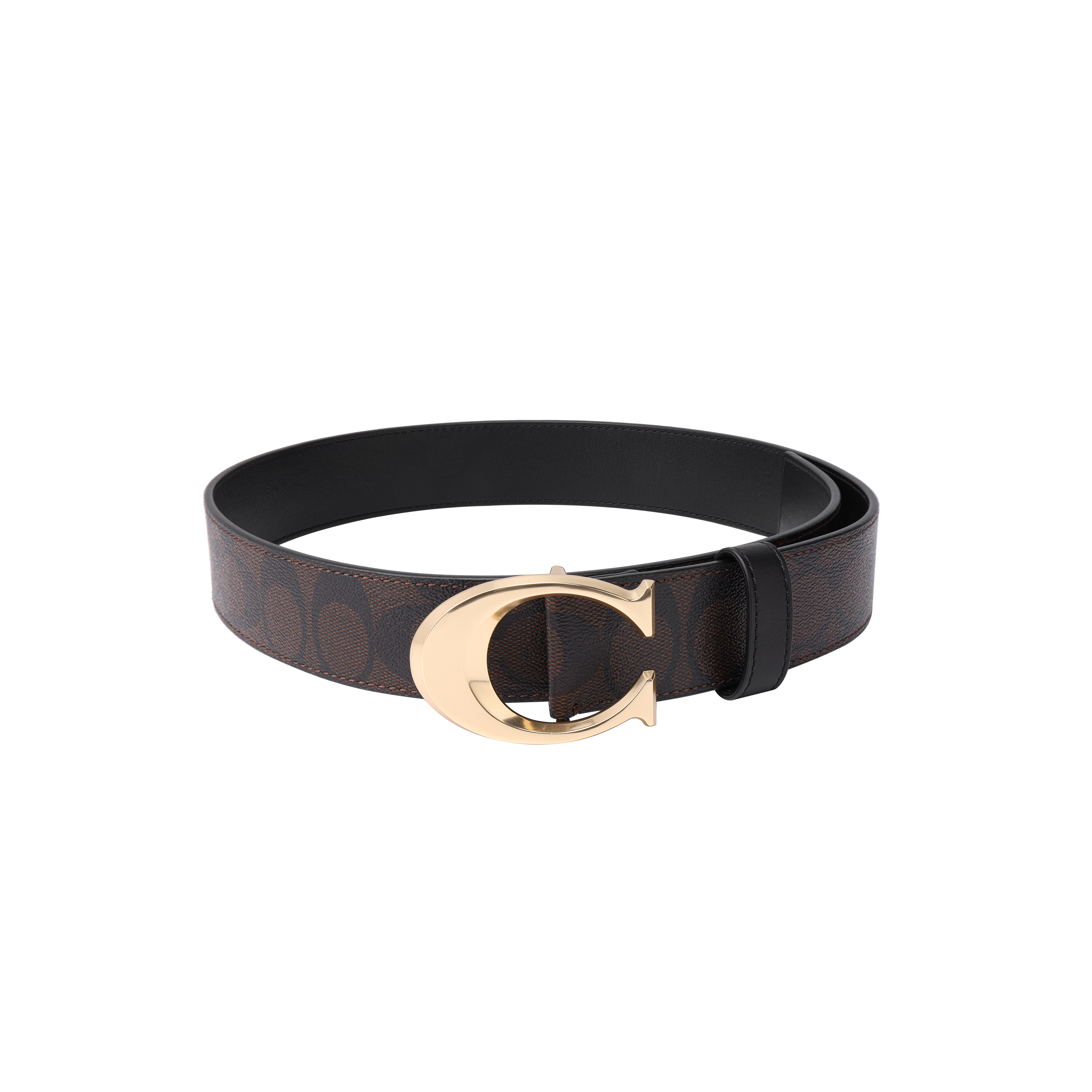 Lookbook 蔻驰棕色经典Logo设计3.8cm宽皮革腰带 6140-IMOVE