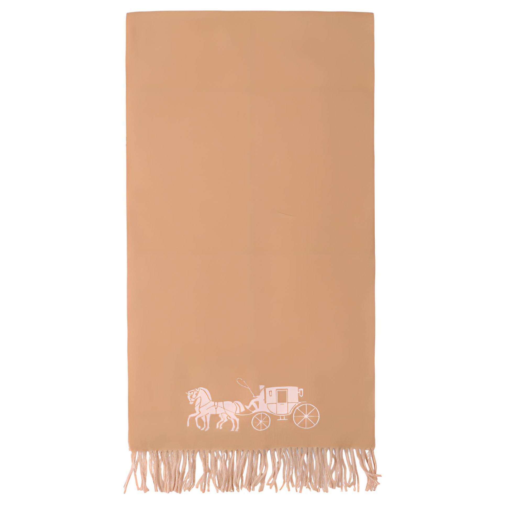 COACH Casual Woolen Unisex Scarf in Khaki 4622-RFZ