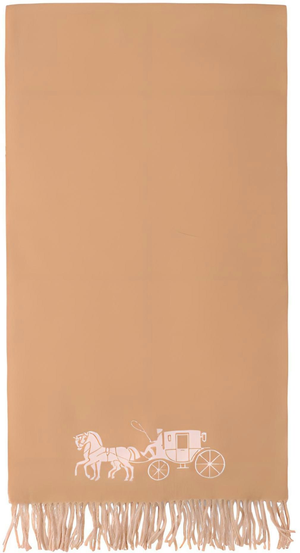 coach-casual-woolen-unisex-scarf-in-khaki-4622-rfz