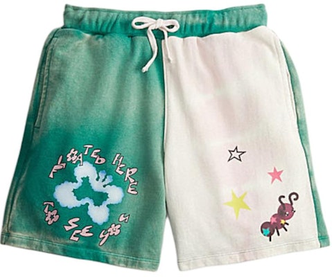 COACH Colorblock Letter Butterfly Print Drawstring Shorts Unisex Green. CN989-WE4 Order COACH Colorblock Letter Butterfly Print Drawstring Shorts Unisex Green. CN989-WE4