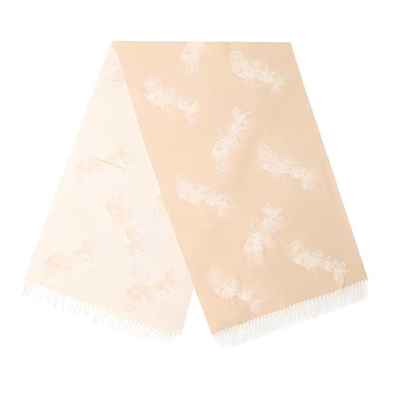 Lookbook COACH 马车印花针织围巾 男女通用 时尚保暖披肩 76387-IVO