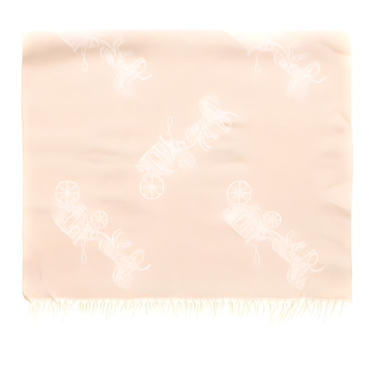 Shop COACH 马车印花针织围巾 男女通用 时尚保暖披肩 76387-IVO