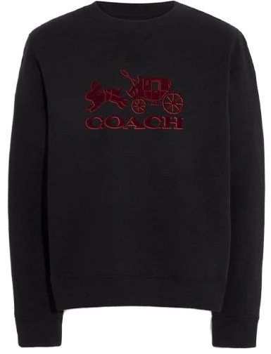 coach-embroidered-graphic-long-sleeve-sweatshirt-black-ce-349-blk
