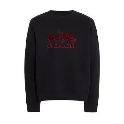 COACH Embroidered Graphic Long-Sleeve Sweatshirt Black CE349-BLK