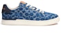 Order Kasut Coach Fashion 'Blue Casual' CA256_UE4