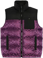COACH FW22 Purple Logo Print Colorblock Sleeveless Down Vest Casual Jacket CF881-UQE COACH FW22 Purple Logo Print Colorblock Sleeveless Down Vest Casual Jacket CF881-UQE