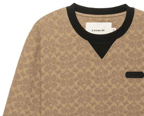 Coach FW22 經典標誌圓領長袖上衣 棕色 CB490-RYU Purchase Coach FW22 經典標誌圓領長袖上衣 棕色 CB490-RYU