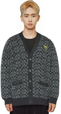 蔻驰2022秋冬男士灰色V领纽扣长袖针织开衫 CE934-S8N Lookbook 蔻驰2022秋冬男士灰色V领纽扣长袖针织开衫 CE934-S8N