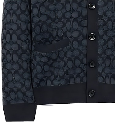 蔻驰2022秋冬男士灰色V领纽扣长袖针织开衫 CE934-S8N Purchase 蔻驰2022秋冬男士灰色V领纽扣长袖针织开衫 CE934-S8N