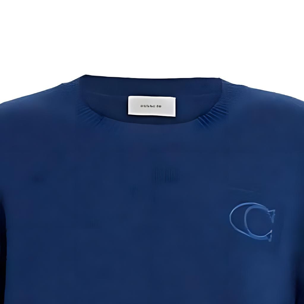 Purchase COACH FW22 Solid Logo Crewneck Long Sleeve Casual Sweater Men’s Blue CE344-DEN