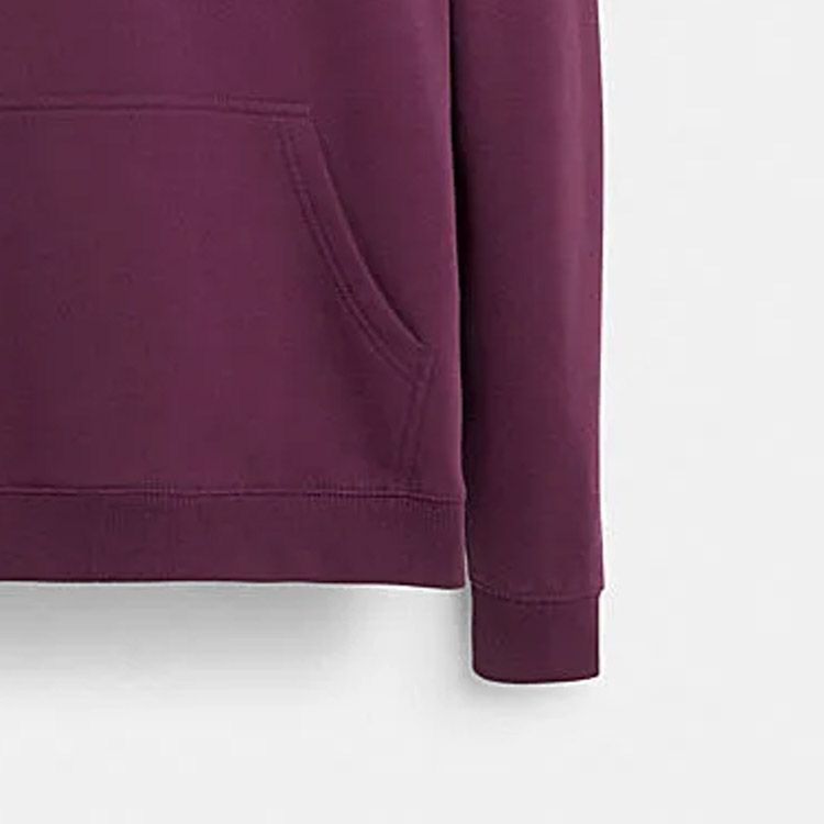 Shop COACH FW23 字母印花立領長袖衛衣 CK695-PLU