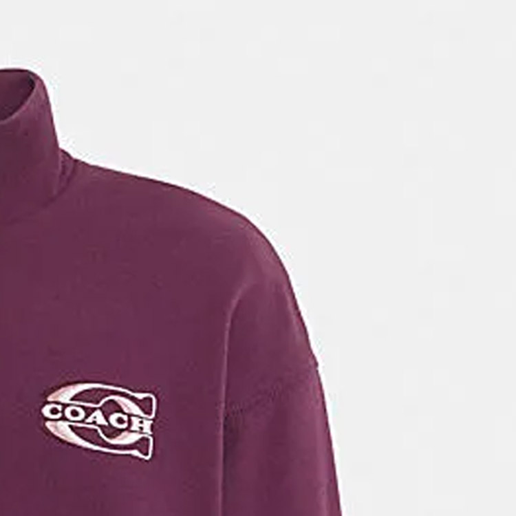 Details for COACH FW23 字母印花立領長袖衛衣 CK695-PLU