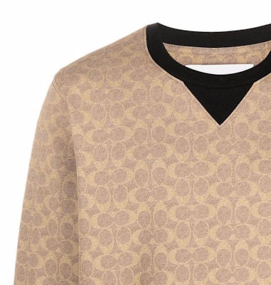 COACH Logo Print Crewneck Pullover Sweatshirt Brown. C5760-RYU Sizing COACH Logo Print Crewneck Pullover Sweatshirt Brown. C5760-RYU