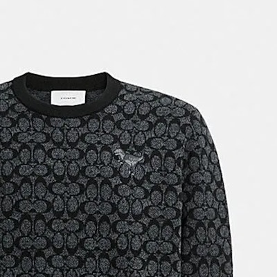 코치 렉시 FW23 블랙 패턴 크루넥 긴팔 스웨터 CP968-OY2 Sizing 코치 렉시 FW23 블랙 패턴 크루넥 긴팔 스웨터 CP968-OY2