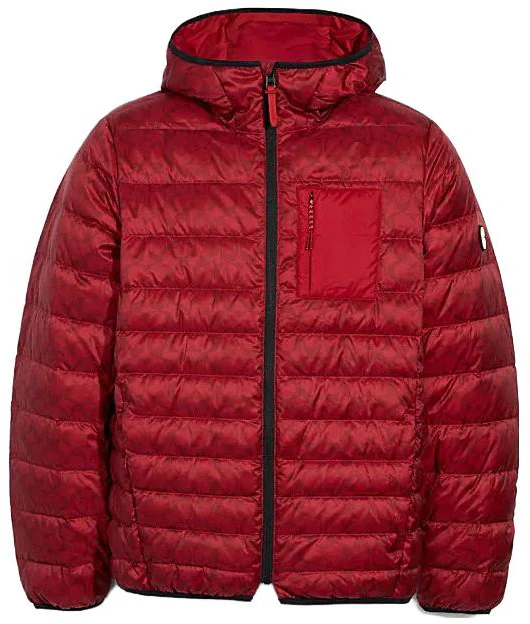 coach-solid-color-down-jacket-with-zippered-hoodie-2993-ryz