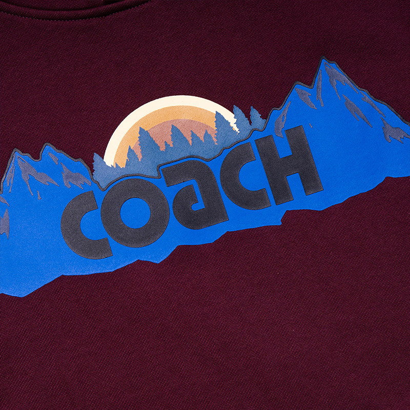 COACH SS21 Letter Logo Hoodie in Red Brown. 4342-MRN 圖 4