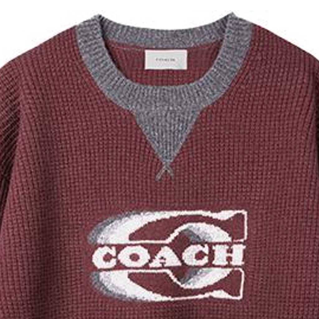 Sizing COACH SS23 Sweater Crewneck dengan Desain Logo. CK737-N19