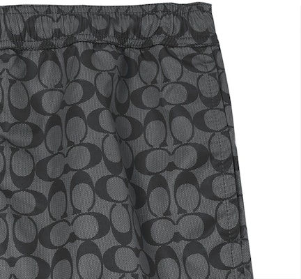 コーチ SS23 ロゴプリント ドローストリング スイムショーツ - グレー. CG112-R8E Purchase コーチ SS23 ロゴプリント ドローストリング スイムショーツ - グレー. CG112-R8E