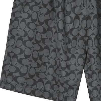 コーチ SS23 ロゴプリント ドローストリング スイムショーツ - グレー. CG112-R8E Sizing コーチ SS23 ロゴプリント ドローストリング スイムショーツ - グレー. CG112-R8E