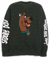 COACH SS23 Green Pullover Sweatshirt with Animal Print for Men CE135-GRN COACH SS23 Green Pullover Sweatshirt with Animal Print for Men CE135-GRN