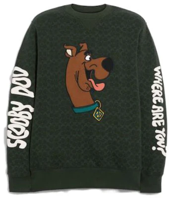 COACH SS23 Green Pullover Sweatshirt with Animal Print for Men CE135-GRN Buy COACH SS23 Green Pullover Sweatshirt with Animal Print for Men CE135-GRN