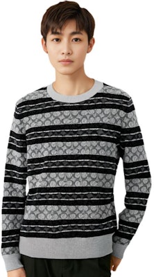 COACH SS23 ストライプ クルーネック プルオーバー セーター ブラック C7810-CGR Details for COACH SS23 ストライプ クルーネック プルオーバー セーター ブラック C7810-CGR