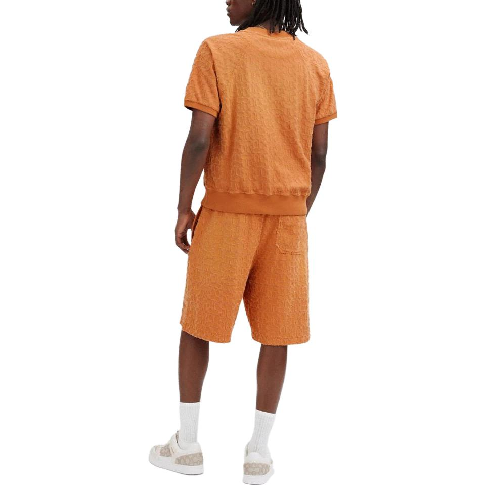 Purchase コーチ SS23 ユニセックス オレンジ クルーネック 半袖 スウェットシャツ CJ888-B4D